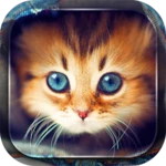 Logo of Cute Cats Live Wallpaper android Application 