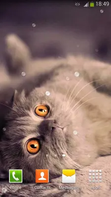 Cute Cats Live Wallpaper android App screenshot 10