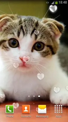 Cute Cats Live Wallpaper android App screenshot 11