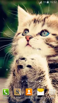 Cute Cats Live Wallpaper android App screenshot 1