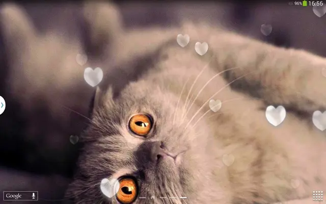 Cute Cats Live Wallpaper android App screenshot 5